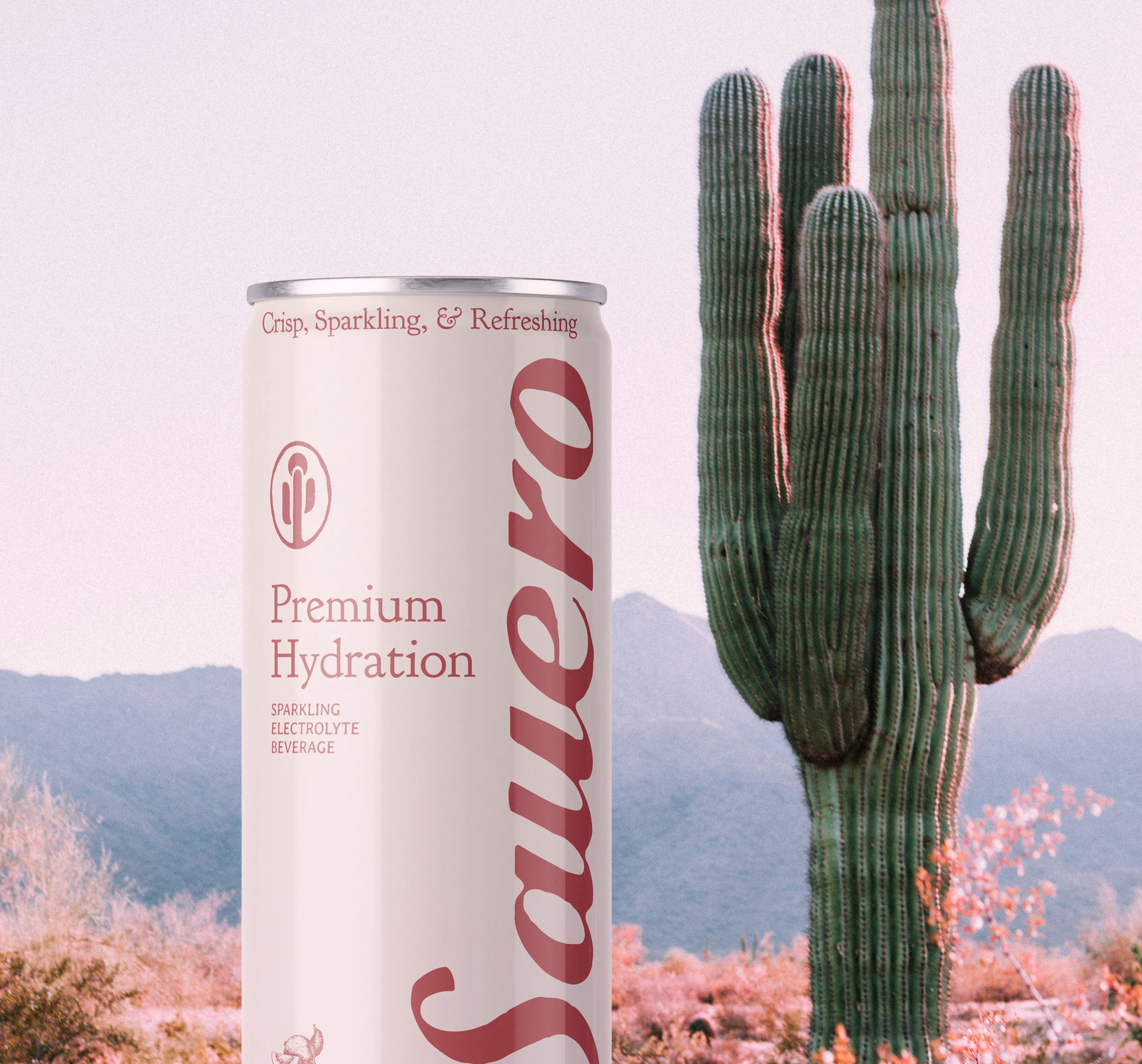 Sauero desert can
